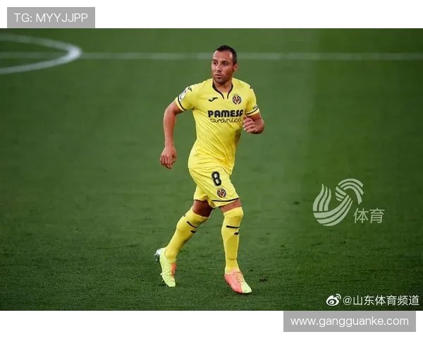 体育联赛收入排名榜（体育联赛市值排名）sports